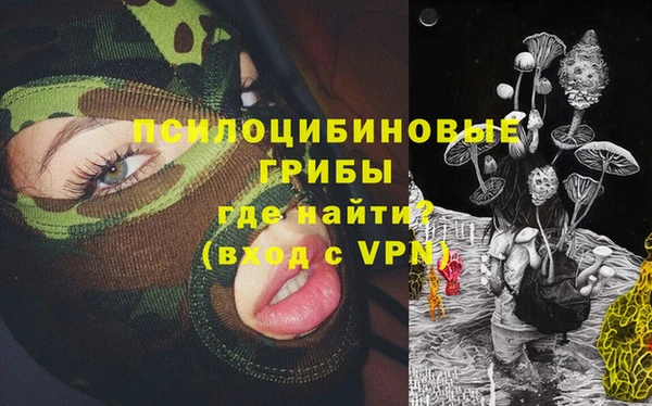молекула духа Верея
