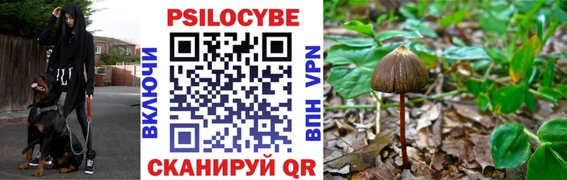 Псилоцибиновые грибы Magic Shrooms  Мончегорск 